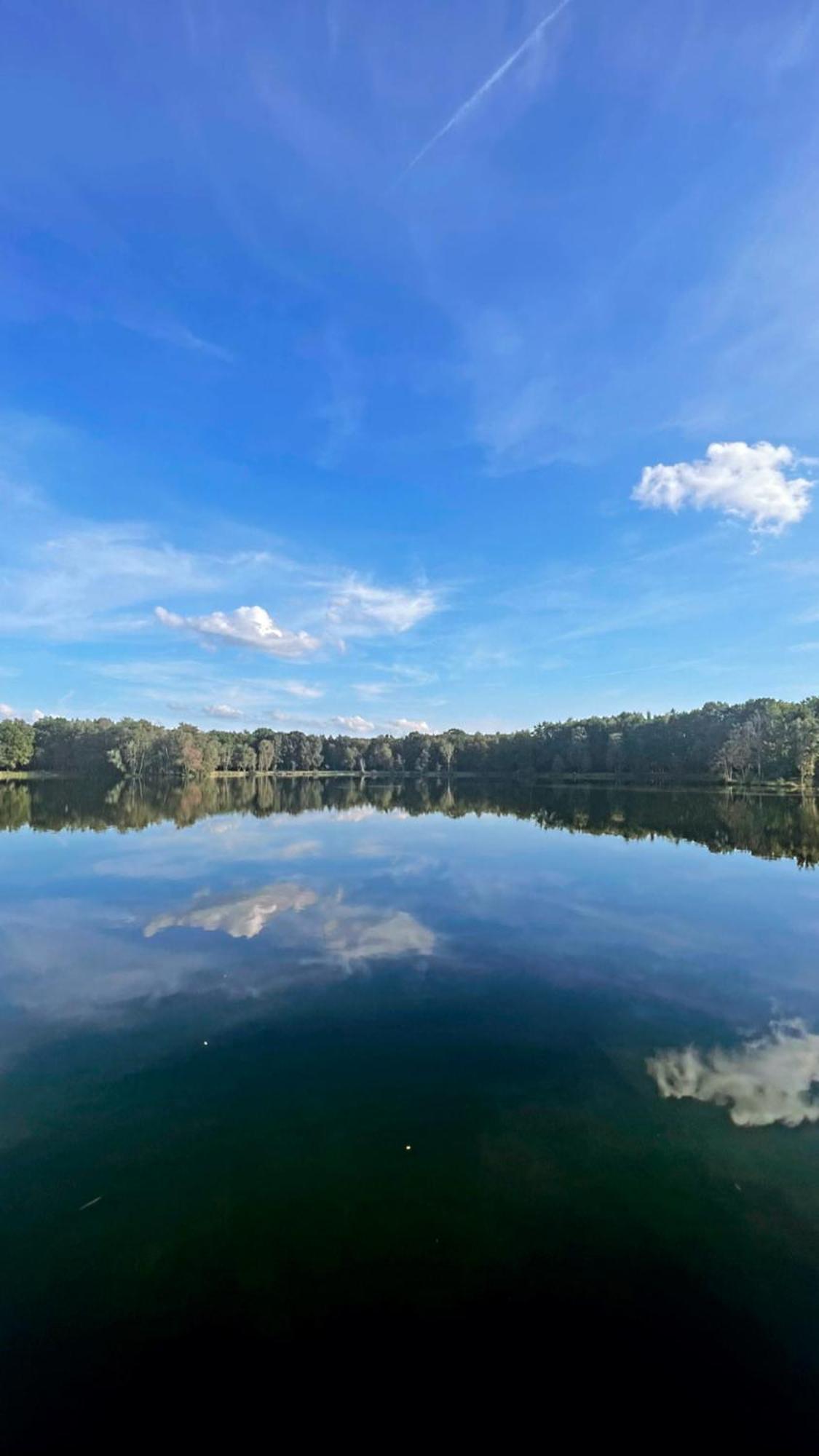Boshuisje Pinus Sonnevijver Residences Lanaken Exteriér fotografie