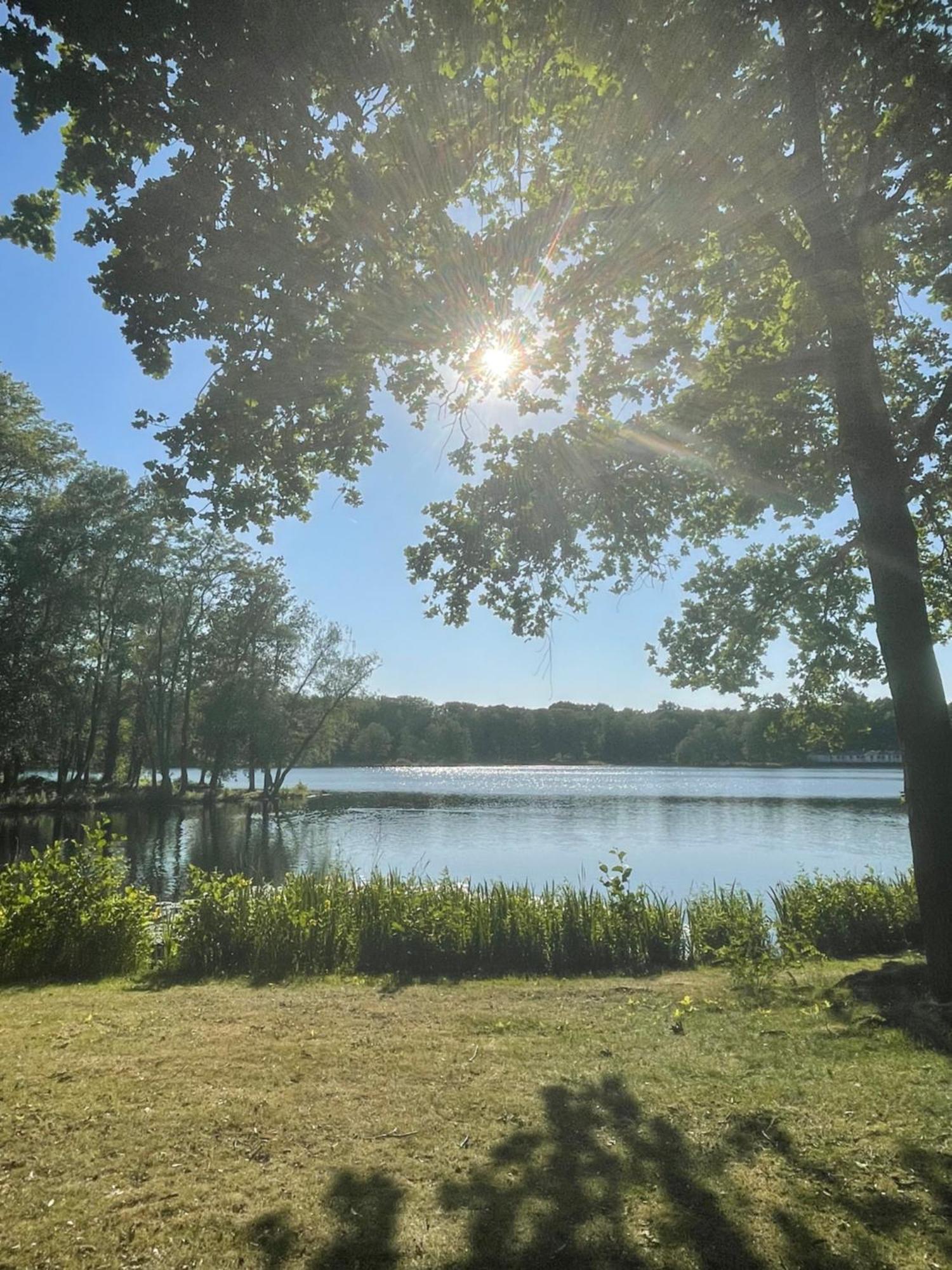 Boshuisje Pinus Sonnevijver Residences Lanaken Exteriér fotografie